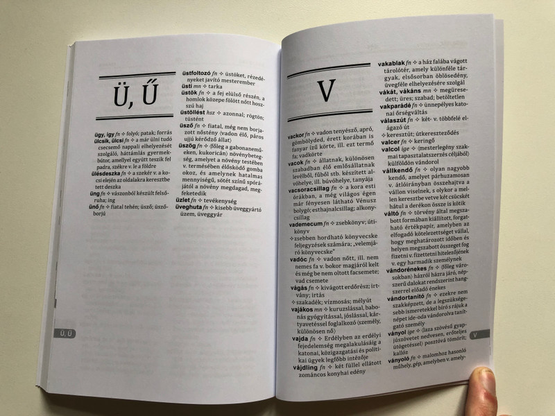 Régi Szavak Kisszótára - A Dictionary of Old Words for Students (9789634094005)