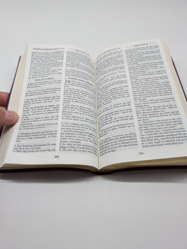 Swedish - English Bilingual New Testament / Nya Testamentet (With Psalms and Proverbs)(Psaltaren och Ordspraksboken)