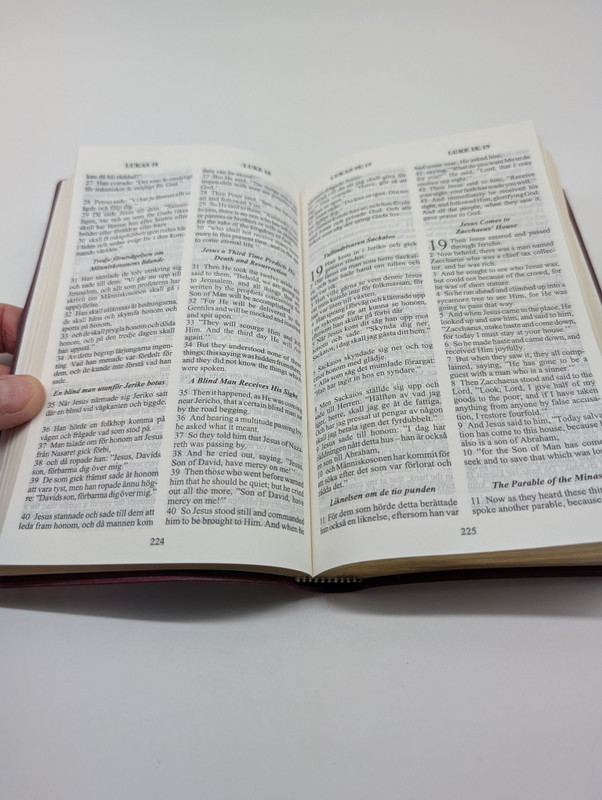 Swedish - English Bilingual New Testament / Nya Testamentet (With Psalms and Proverbs)(Psaltaren och Ordspraksboken)