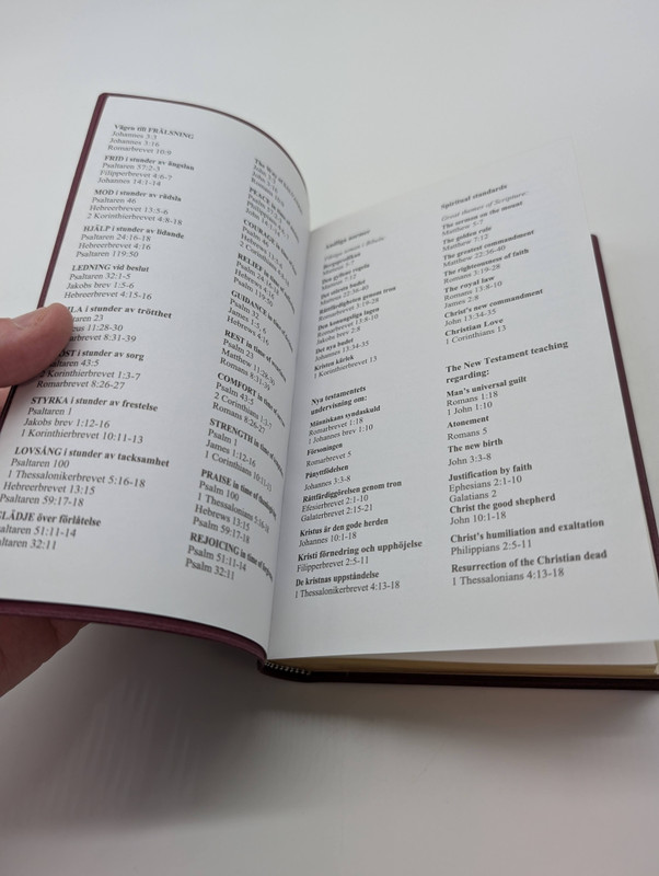 Swedish - English Bilingual New Testament / Nya Testamentet (With Psalms and Proverbs)(Psaltaren och Ordspraksboken)