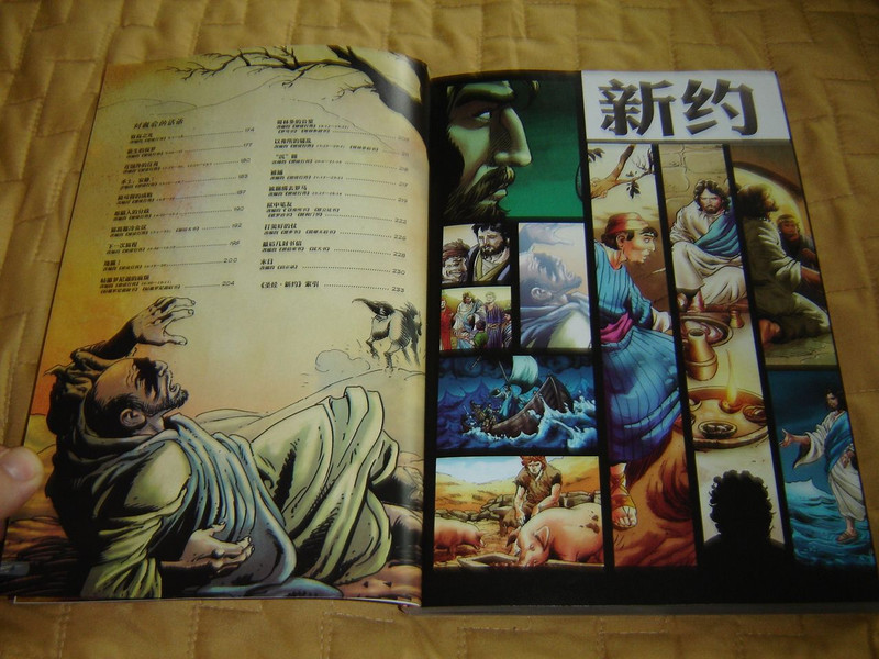 漫画圣经故事：新约 / The Action Bible: New Testament, Simplified Chinese Edition 2015 