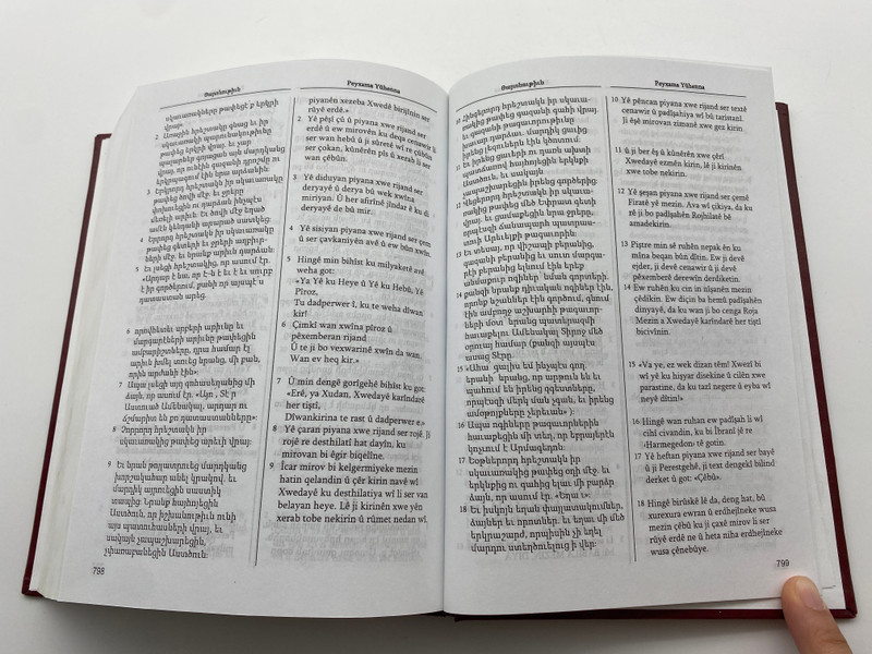 Աւետարան Mizgini - The Gospels in Armenian and Kurdish (Mizgini) (ԱւետարանMizgini)