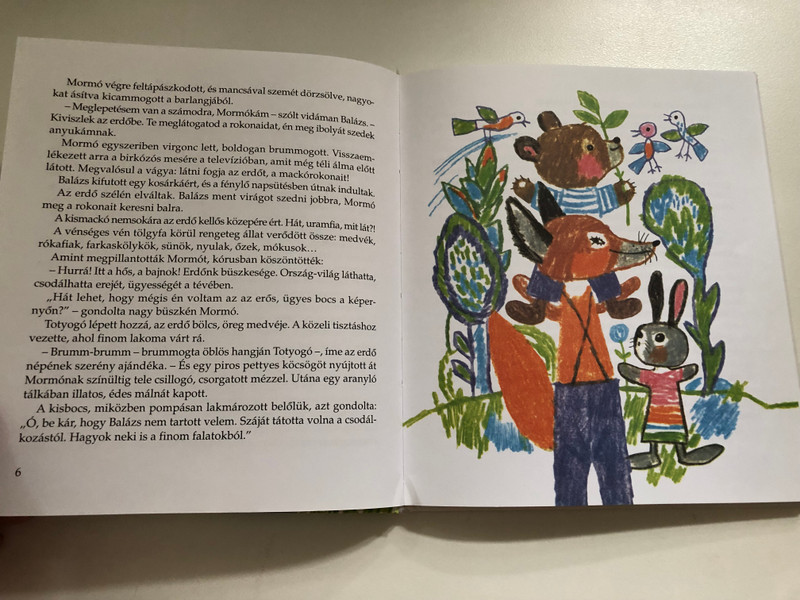 OSVÁT ERZSÉBET – A KISMANÓ SAPKÁJA (9789633469101)