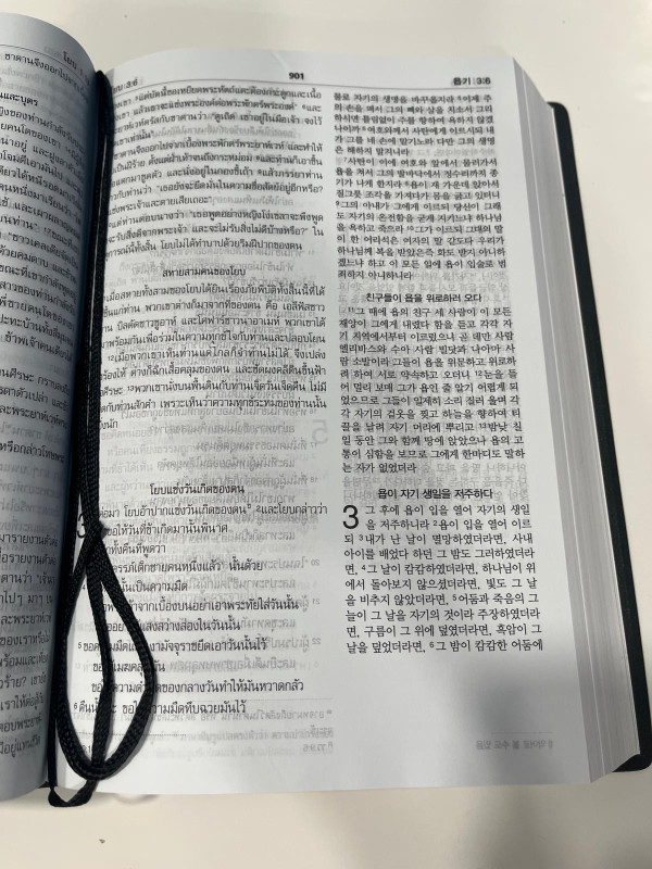 Thai - Korean Bilingual New Testament / Thai Standard Version - New Korean Revised Version [Vinyl Bound]