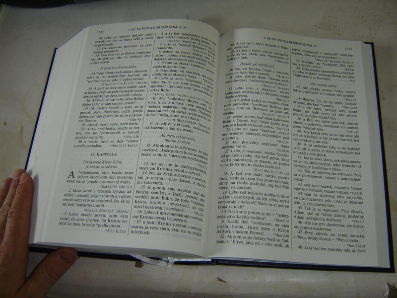 Large Slovak Language Holy Bible: From Original Language Translated By Prof. Jozef Rohacek 