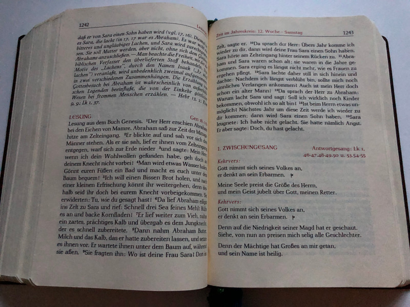THE GREAT SUNDAY SCHOTT | DER GROSSE SONNTAGS-SCHOTT (GroßeSonntags)
