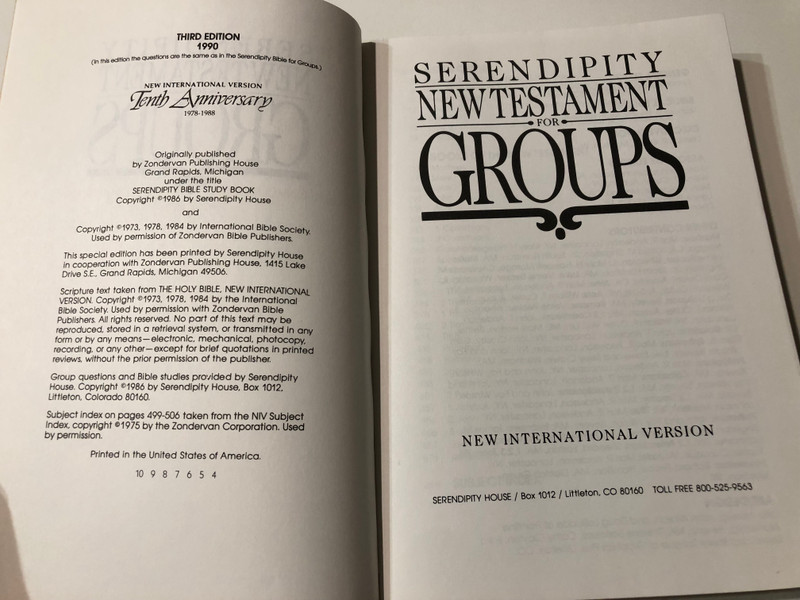 Serendipity New Testament for Groups (NIV)  Paperback