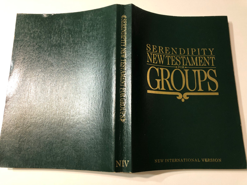 Serendipity New Testament for Groups (NIV)  Paperback