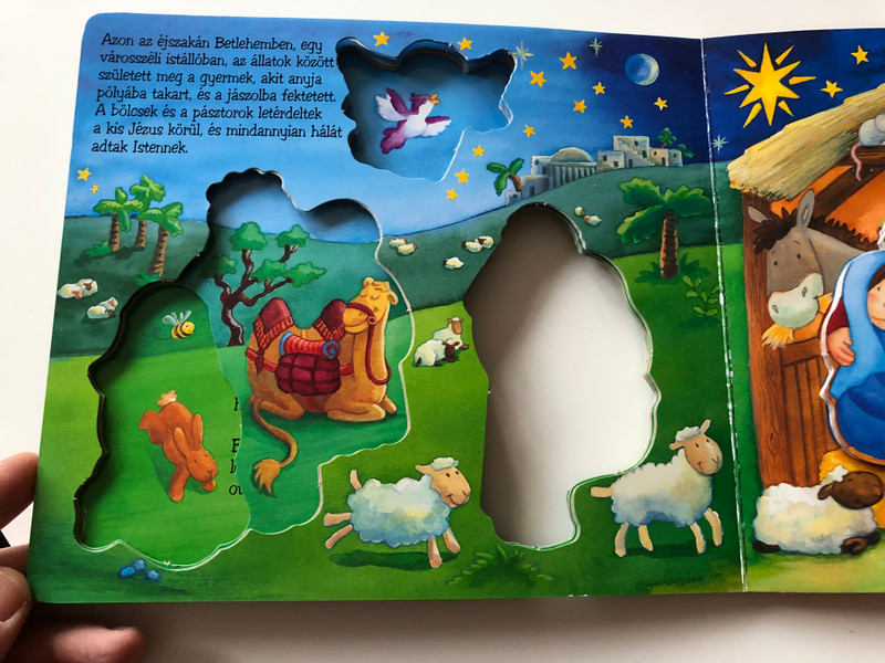 A karácsony története – Feltárul a titok! | The Story of Christmas – The Secret Unveiled! (9789634156918)