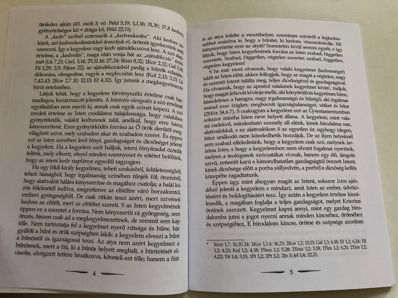 A kegyelem – Keresztyénüldözések a Római Birodalomban / Grace – Christian Persecutions in the Roman Empire (9786155624247)