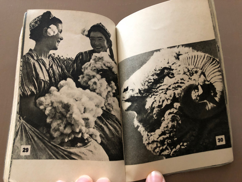 Uzbekistan - A Soviet-Era Photographic Journey (English Photo Album) (UzbekistanSovietEra)