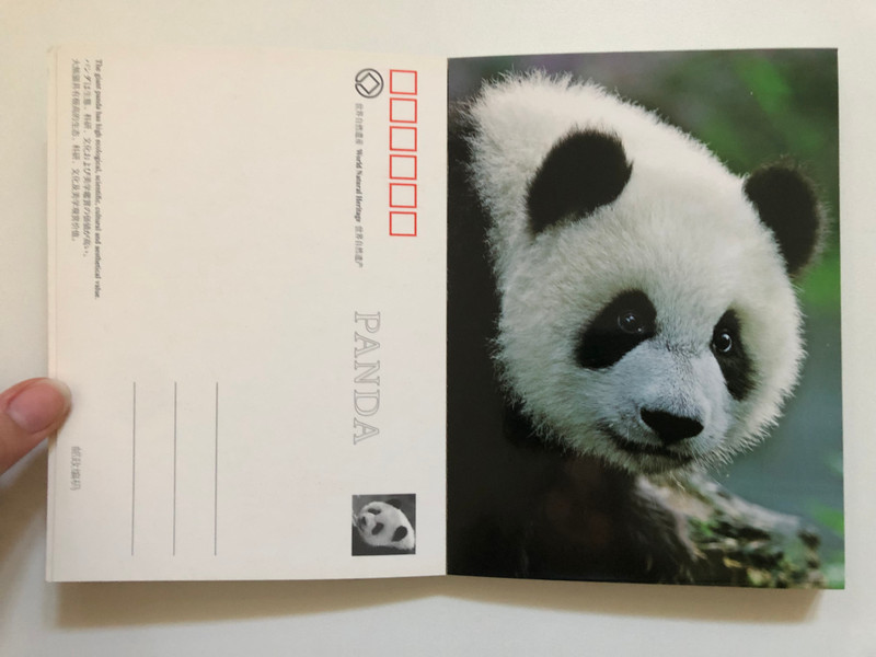 Wolong and the Siguniang Mountains: The Habitat of Pandas | 大熊猫栖息地卧龙·四姑娘山 | パンダの生息地の卧龍・四姉妹山 (9787541041952)