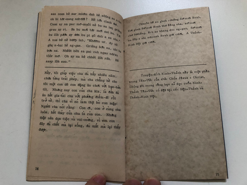 Tưởng Mất Mà Còn – Sodiêng & Vietnamese Diglot Edition (TheProdigalSon)