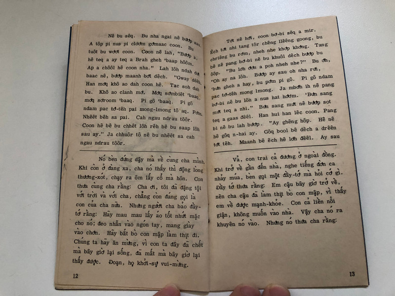 Tưởng Mất Mà Còn – Sodiêng & Vietnamese Diglot Edition (TheProdigalSon)