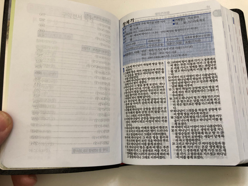 성경전서 (Bible in Korean) - North Korean Bible 2015 (Saenuri Translation) (KoreanScripture)