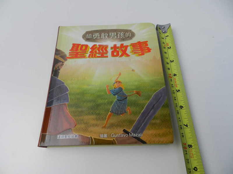 給勇敢男孩的聖經故事 / Bible Stories for Brave Boys, Ages 7 to 13 – Chinese Language, Traditional Script 