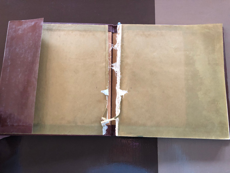 A Bust of Abu Ali Ibn Sina: A Scientific Reconstruction of the Great Scholar’s Image (Hardcover) (4903010000)