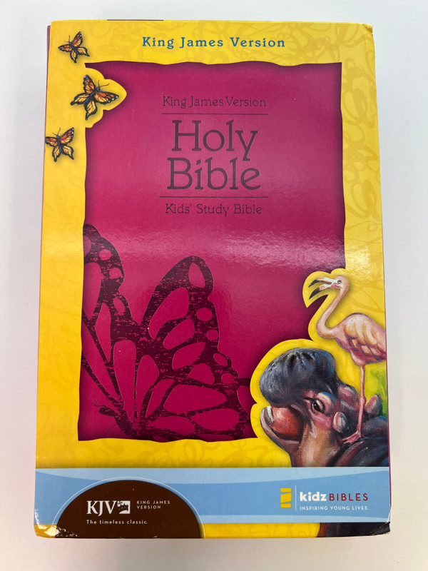 KJV Kids Study Bible: Fluttering Fuschia Leather-Look Edition for Young Explorers / Leather-Look (9780310718604)
