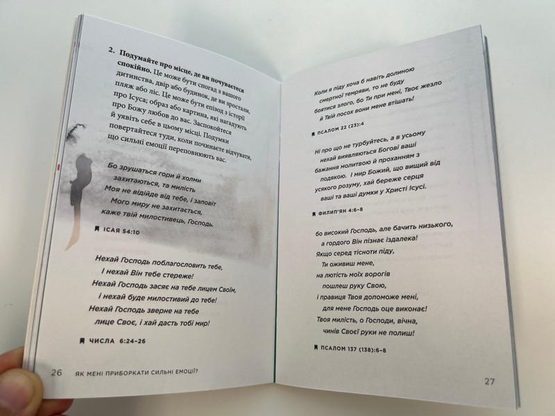 Overcoming Adversity: A Guide to Spiritual First Aid in Times of Crisis / Paperback (9781585167586)