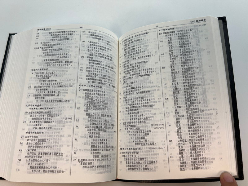 Chinese Analytical Layout Bible: Popular Edition - Structured Study Scripture by Dr. Patrick Y. Tang / Lethercover (9789628840311)