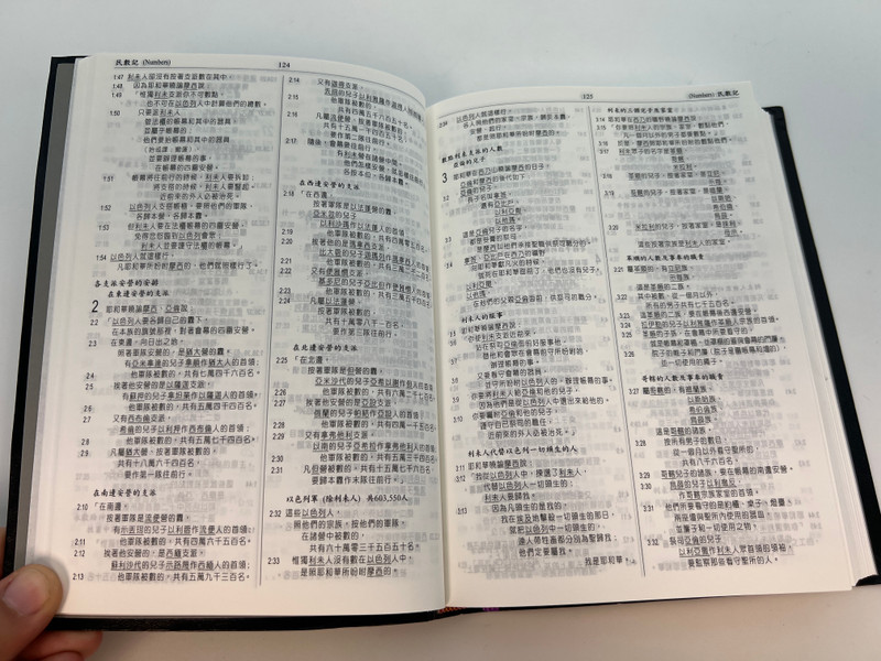 Chinese Analytical Layout Bible: Popular Edition - Structured Study Scripture by Dr. Patrick Y. Tang / Lethercover (9789628840311)