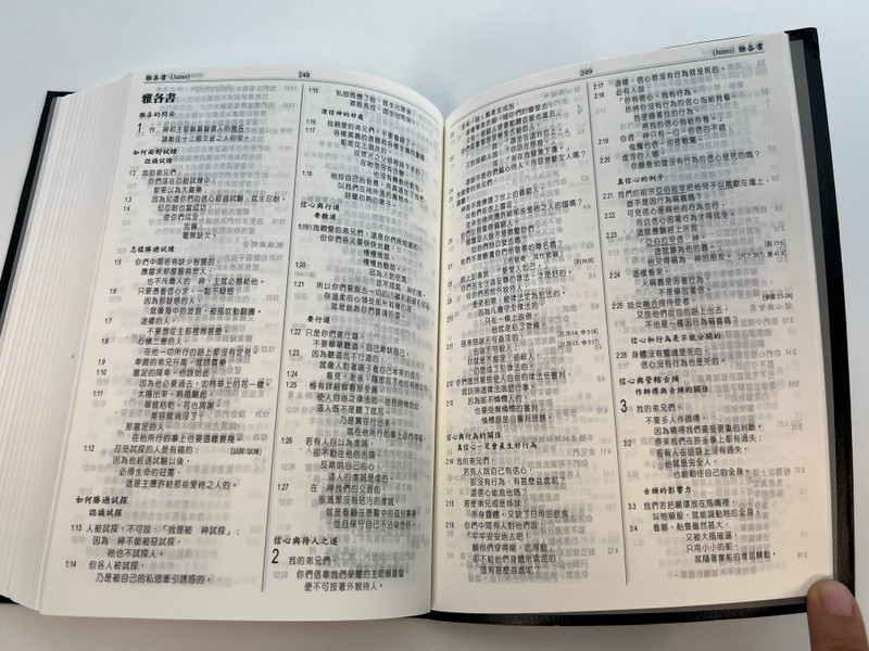 Chinese Analytical Layout Bible: Popular Edition - Structured Study Scripture by Dr. Patrick Y. Tang / Lethercover (9789628840311)