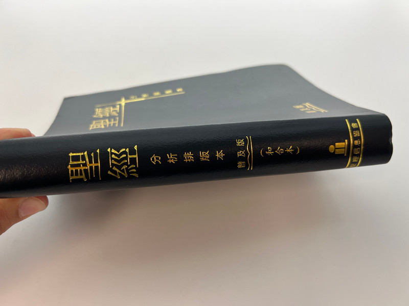 Chinese Analytical Layout Bible: Popular Edition - Structured Study Scripture by Dr. Patrick Y. Tang / Lethercover (9789628840311)