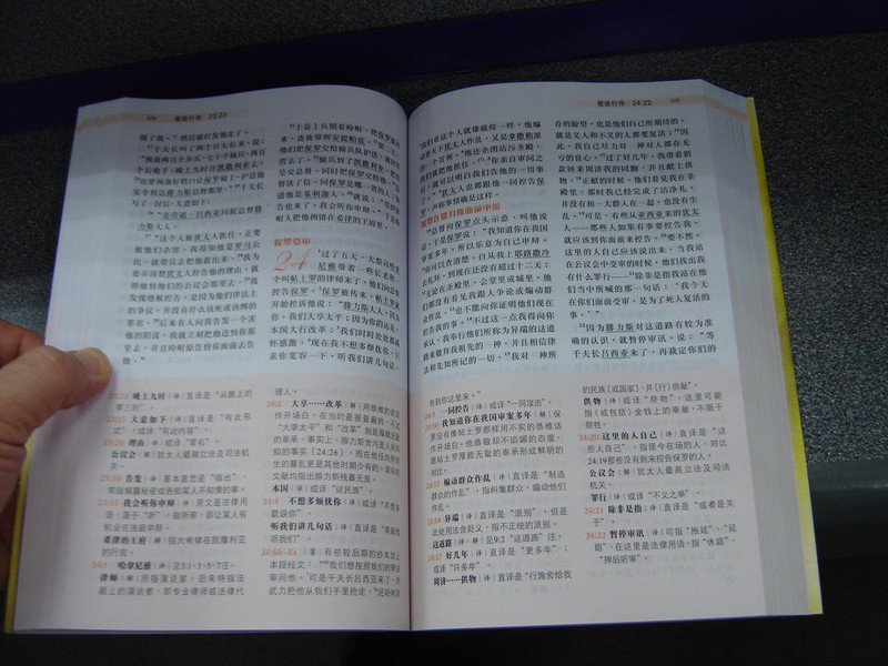 LARGE PRINT Worldwide Chinese New Testament / Simplified Chinese Script / Shen Edition / 新约全书–环球圣经译本（神版）