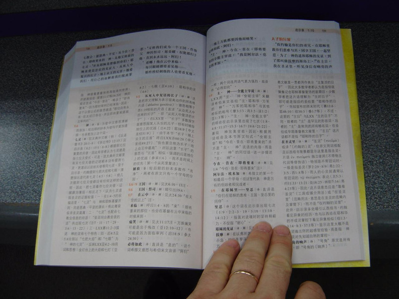 LARGE PRINT Worldwide Chinese New Testament / Simplified Chinese Script / Shen Edition / 新约全书–环球圣经译本（神版）