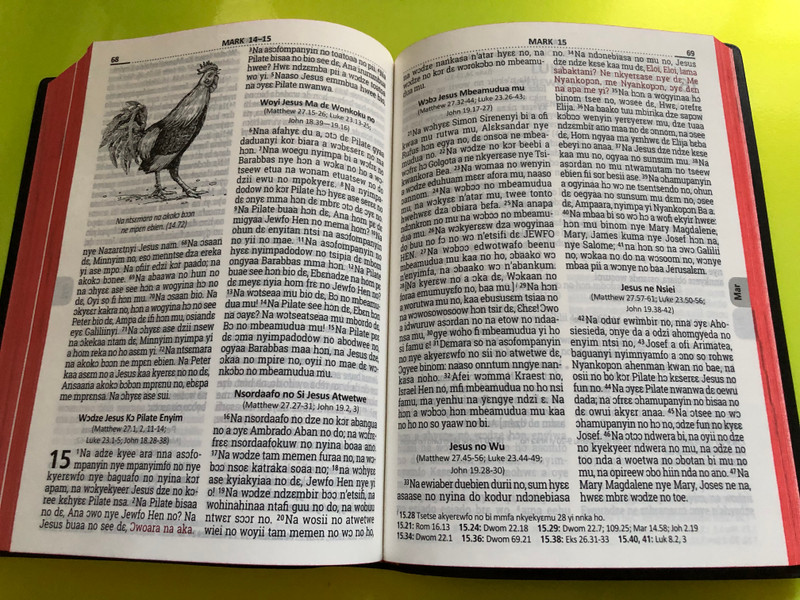 Revised Mfantse Bible – BAEBOR Edition (2019) (9789964002800)