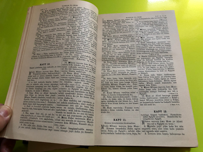 Bibeln på Fioti – The First Bible in Kongo (1905) (BibelnpåFioti)