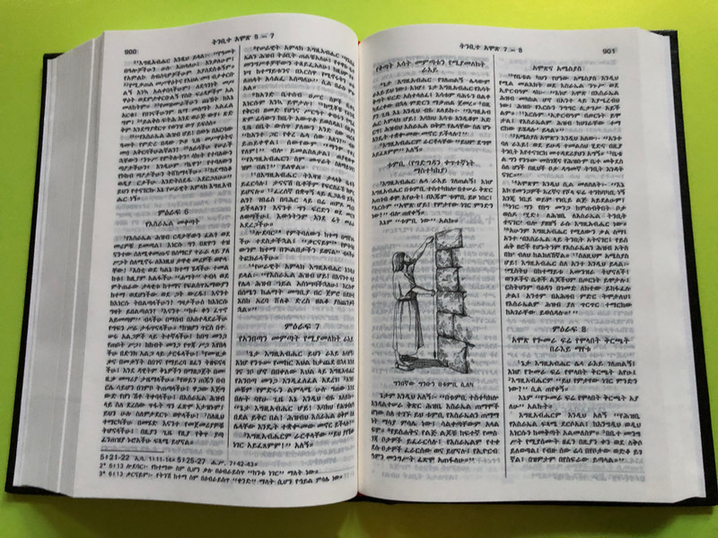 The Holy Bible in Amharic – Old and New Testaments | መጽሐፍ ቅዱስ – የብሉይና የሐዲስ ኪዳን መጻሕፍት (9788941291879)