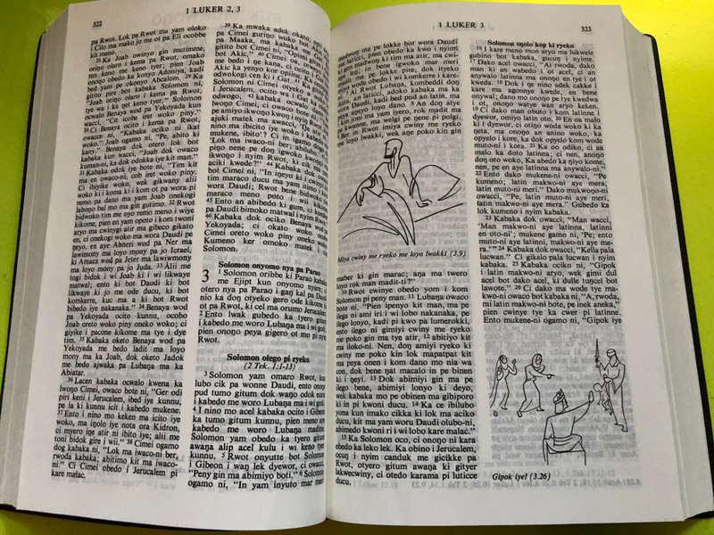 BAIBUL – The Holy Bible in Acholi Language (996640404X)