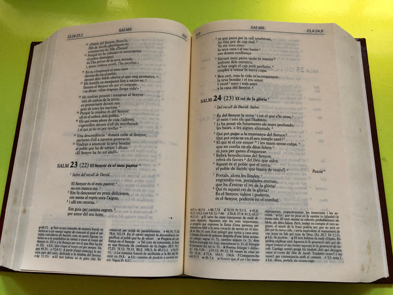 La Bíblia – Edició d’Estudi (Catalan Interconfessional Study Bible) (8480830093)