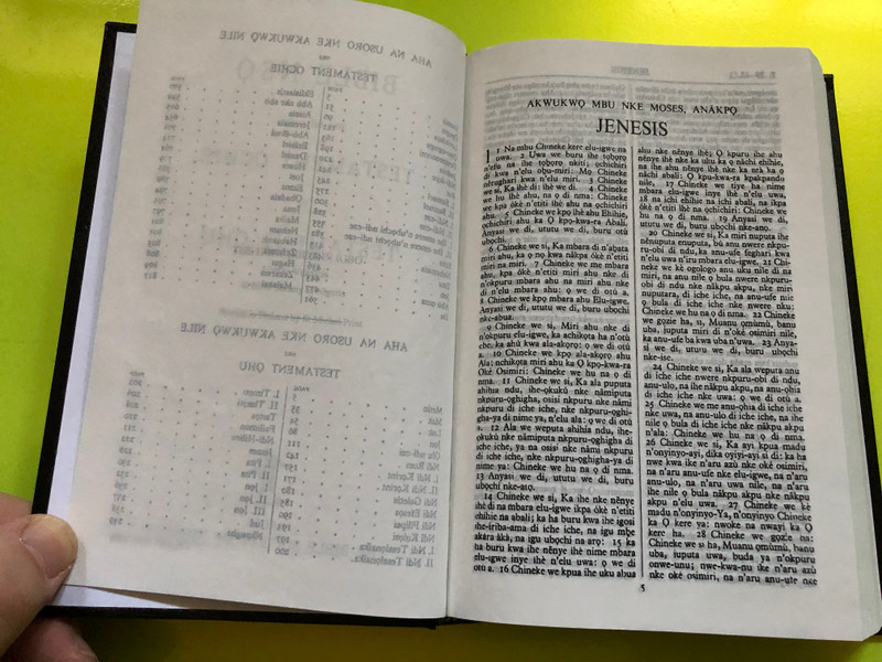 The Holy Bible in Igbo – Union Version (Bible Nso Neb Nanagide Testament Ochie na Testament Ọhụ) (TheHolyBibleIgbo)
