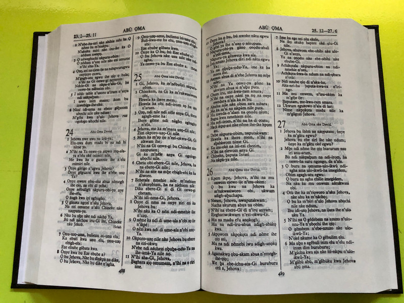 The Holy Bible in Igbo – Union Version (Bible Nso Neb Nanagide Testament Ochie na Testament Ọhụ) (TheHolyBibleIgbo)