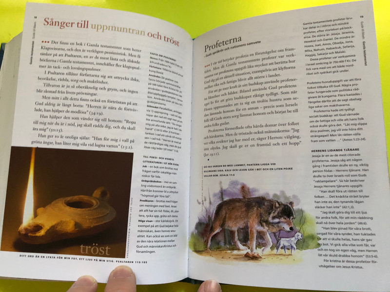 BIBELN – Bibelkommissionens översättning (BK), Libris Bokförlag 2022 Edition (9789171955746)