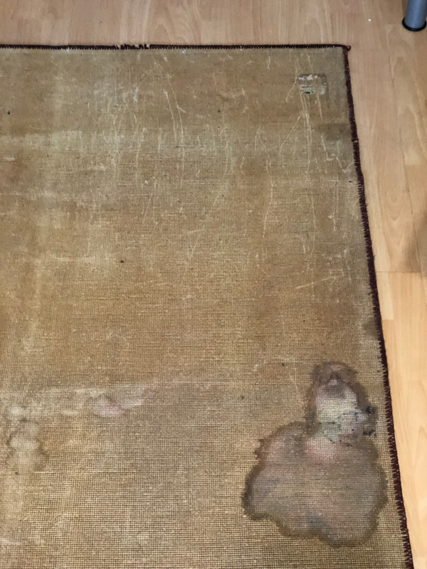 Rare 1970 Centennial Soviet Tapestry: Vladimir Lenin with Narrative Vignette Borders (VladimirLeninRug002)