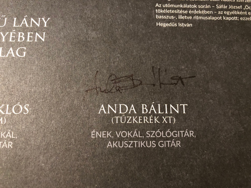 Radics Akusztik: Napfényes éjszaka Signed Vinyl LP by GrundRecords (5999860095491)