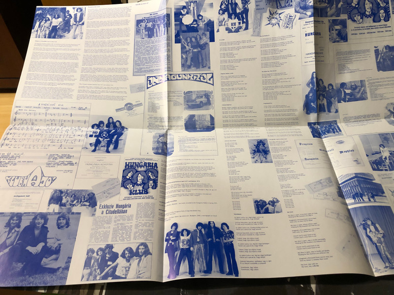 Hungaria - It Would Be Cool If It Was Cool Signed Vinyl LP by Moiras Records (5991315912087)