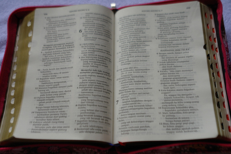 Alkitab Indonesian Bible with INDONESIAN SPECIAL CLOTH FLOWERS PINKS DESIGN with Zipper, Golden Edges, Thumb Index 