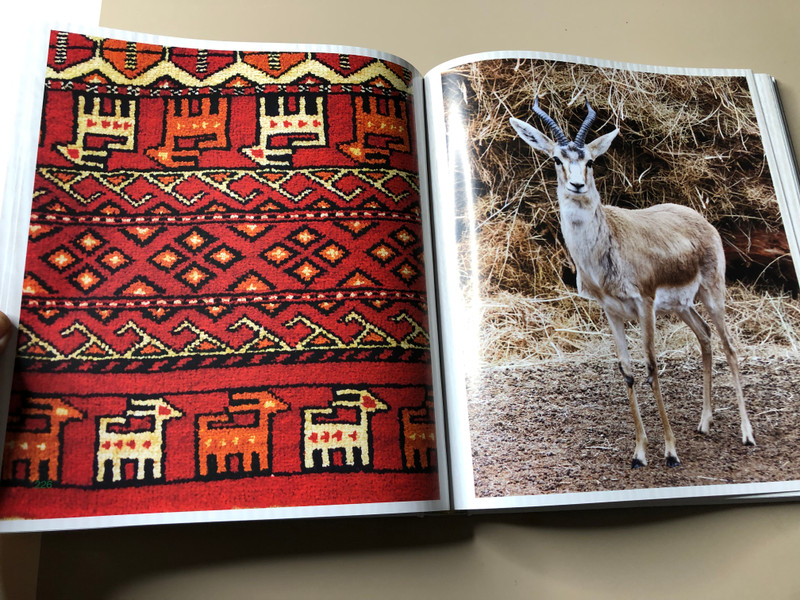 Heavenly Beauty: Arşyň Nepisligi Art Book by Türkmen döwlet neşirýat gullugy (HeavenlyBeauty)