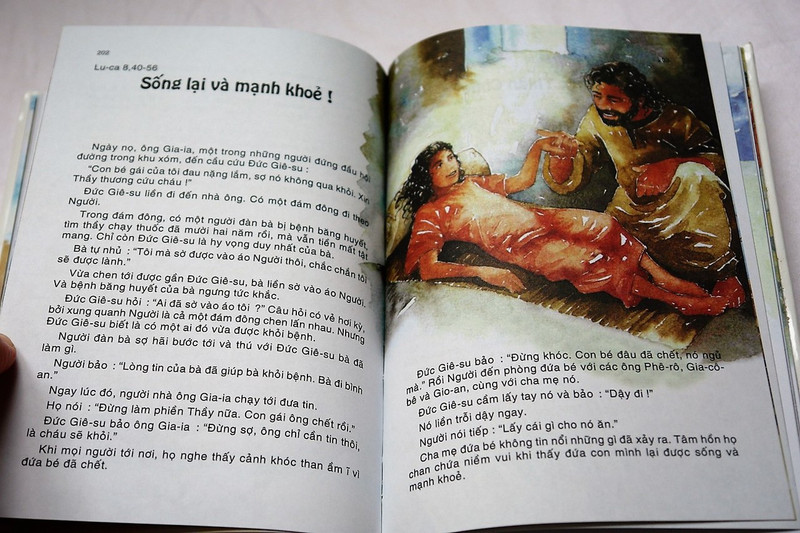 The Lion Children's Bible in Vietnamese Language / Kể Chuyện Knh Thành cho Thiếu Niên