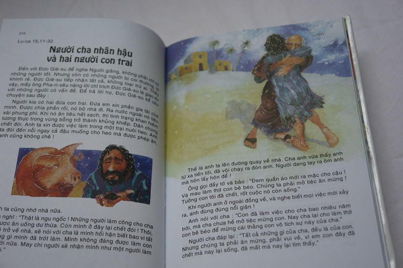 The Lion Children's Bible in Vietnamese Language / Kể Chuyện Knh Thành cho Thiếu Niên