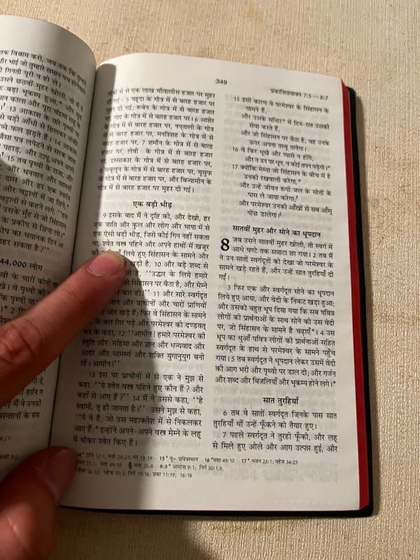 Hindi New Testament with Psalms and Proverbs-FL (Hindi Edition) [Paperback]