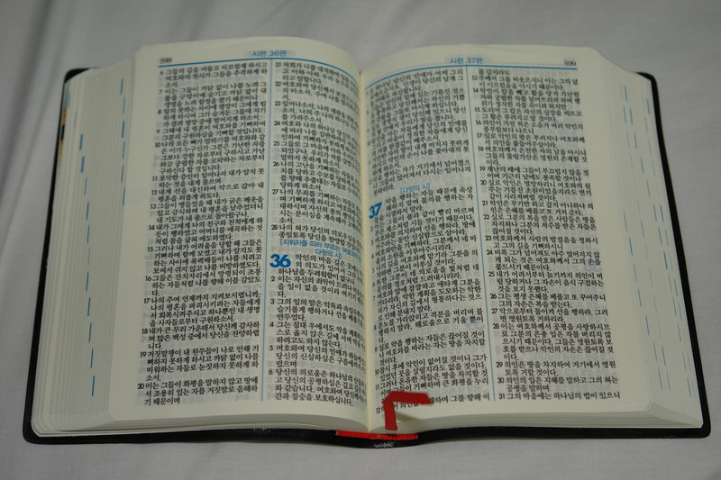 North Korean Small Bible / New North Korean Revised Version / NNKRV 조선민주주의인민공화국 Pyongyang DPRK (NorthKoreanLanguage)