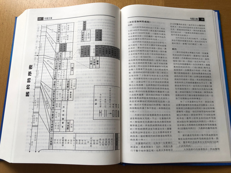 The Applied New Testament Commentary in CHINESE Language 新约注释 