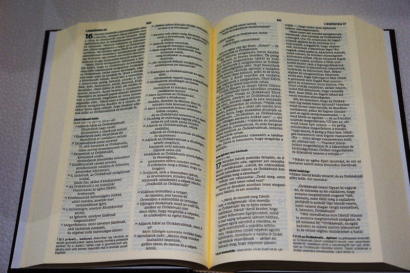 Light Blue Hungarian Bible / MAGYAR BIBLIA: Egyszerű fordítás (EFO) / Keményborító világoskék műbőr kötés