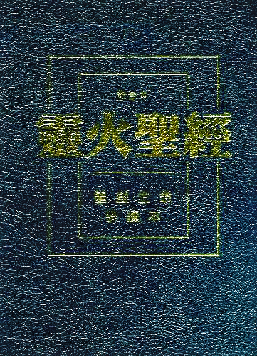 Chinese Fire Bible AKA Full Life Study Bible / Chinese Union Version Text / CUV / Traditional Chinese Characters / Bonded Leather, Black, Zipper, Gold Lettering on Cover (9780736103510)