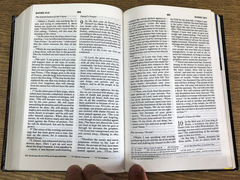 Bible: New International Version / New Life Bible with colour features / NIV043PCHY / 1984 NIV Text Edition